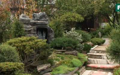 Сад Бонсай — Япония на дачном участке. Создан своими руками //FORUMHOUSE